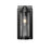 Millennium Braselton 1Lt 14" Outdoor Sconce, Black/Clear Ribbed