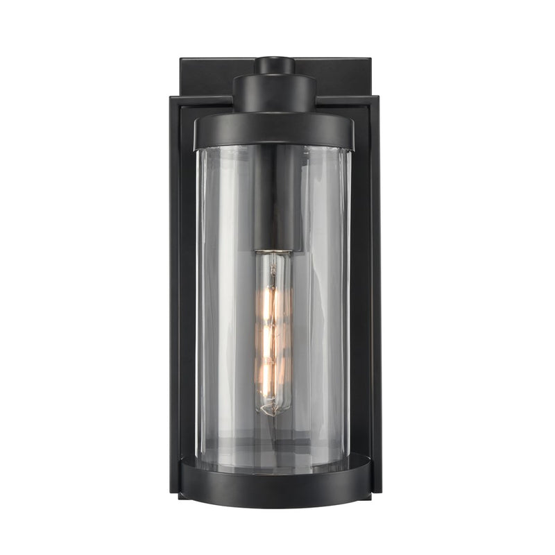 Millennium Braselton 1Lt 18" Outdoor Sconce, Black/Clear Ribbed