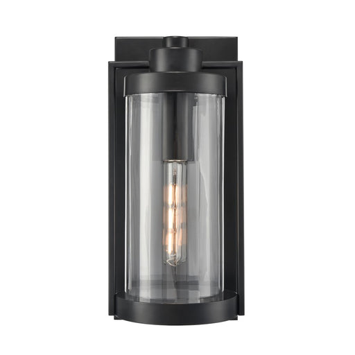 Millennium Braselton 1Lt 18" Outdoor Sconce, Black/Clear Ribbed