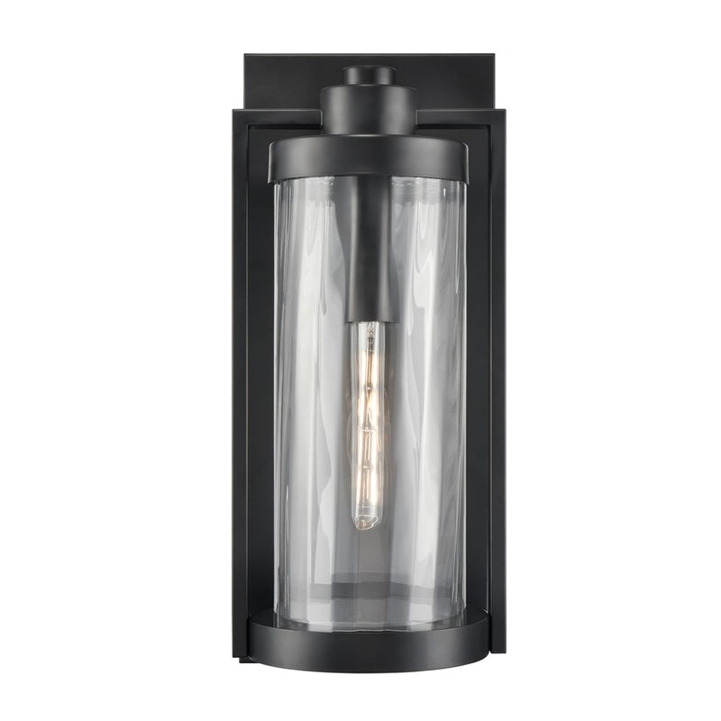 Millennium Braselton 1Lt 24" Outdoor Sconce, Black/Clear Ribbed