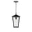 Millennium Munger 1Lt 9" Outdoor Hanging Pendant, Black/Clear