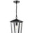 Millennium Munger 1Lt 9" Outdoor Hanging Pendant, Black/Clear
