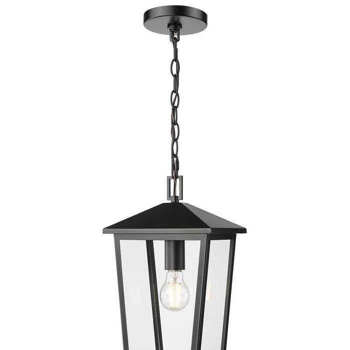 Millennium Munger 1Lt 9" Outdoor Hanging Pendant, Black/Clear
