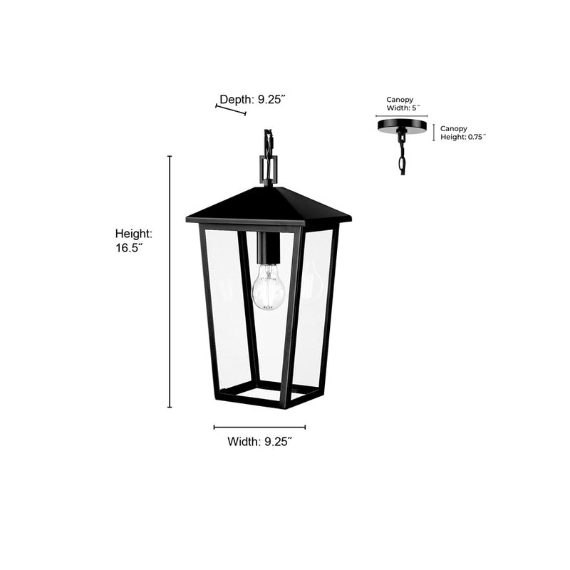 Millennium Munger 1Lt 9" Outdoor Hanging Pendant, Black/Clear