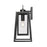 Millennium Lighting Denzell 1Lt 17" Outdoor Sconce, Black/Clear