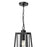 Millennium Denzell 1Lt 8" Outdoor Hanging Lantern, Black/Clear