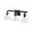 Millennium Lighting Barlon 3Lt Vanity, Black/Clear