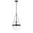 Millennium Lighting Clarra 1Lt Pendant, Black/Clear - 20101-MB