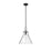 Millennium Lighting Barlon 1Lt Pendant, Black/Clear