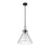 Millennium Lighting Barlon 1Lt Pendant, Black/Clear