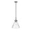 Millennium Lighting Barlon 1Lt Pendant, Black/Clear