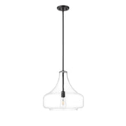 Millennium Lighting Madelynn 1Lt Pendant, Black/Clear - 20301-MB