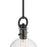 Millennium Lighting Glanora 1Lt Pendant, Black/Clear Seeded