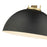 Millennium Lighting Artistan 1Lt Pendant, Vintage Brass/Black