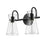 Millennium Lighting Camellia 2Lt Vanity, Black/Clear