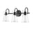 Millennium Lighting Camellia 3Lt Vanity, Black/Clear