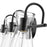 Millennium Lighting Camellia 3Lt Vanity, Black/Clear
