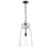 Millennium Lighting Lolla 1Lt Pendant, Black