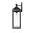 Millennium Lighting Yates 1Lt 22" Outdoor Wall Sconce, Black/Clear