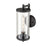 Millennium Lighting Beckham 1Lt 14" Outdoor Sconce, Black/Clear
