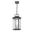 Millennium Lighting Ellis 3 Light Outdoor Hanging Lantern