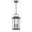 Millennium Lighting Ellis 3 Light Outdoor Hanging Lantern