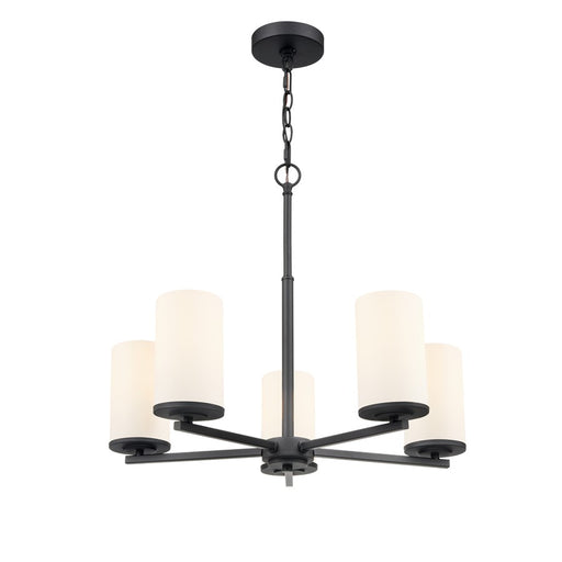 Millennium Lighting Verlana 24" 5Lt Chandelier, Black/Etched White - 2715WG-MB