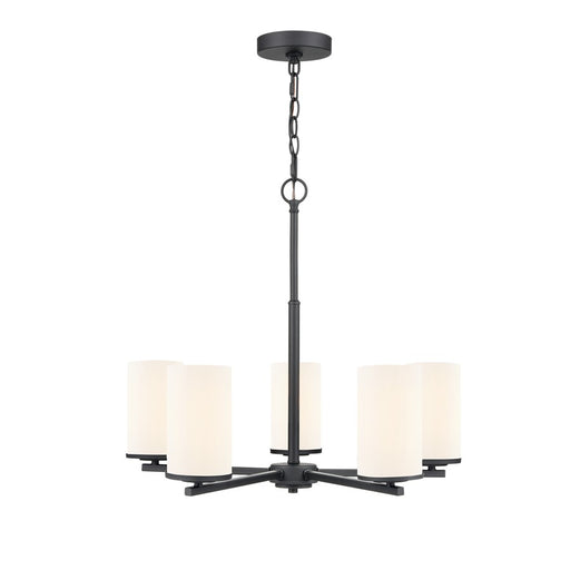 Millennium Lighting Verlana 24" 5Lt Chandelier, Black/Etched White