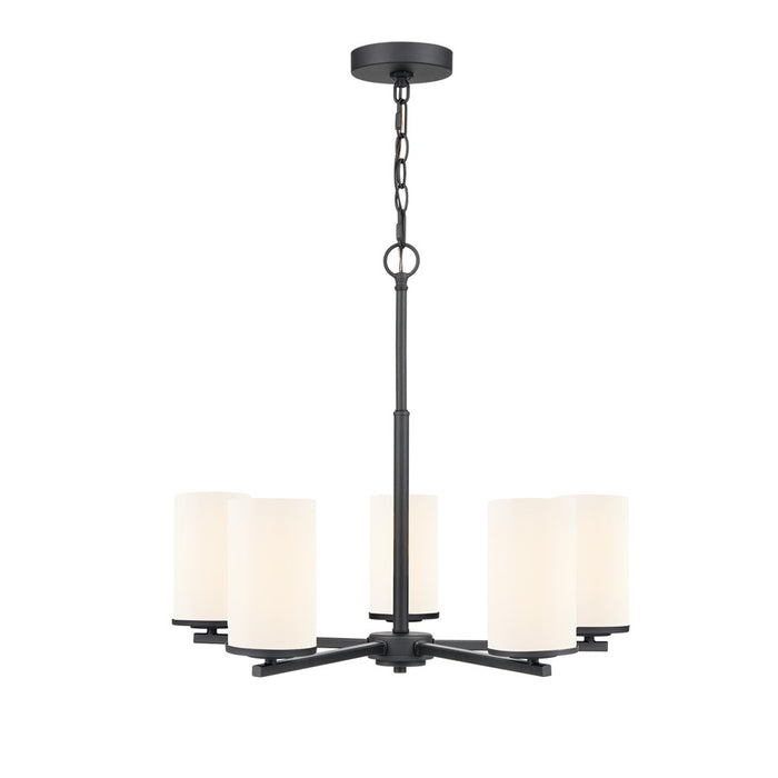 Millennium Lighting Verlana 24" 5Lt Chandelier, Black/Etched White