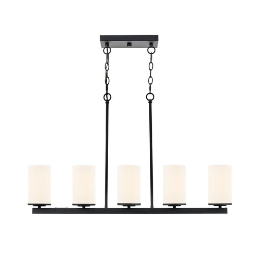 Millennium Verlana 35" 5Lt Linear Chandelier, Black/Etched White
