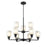 Millennium Lighting Amberle Chandelier, Black/Frosted White