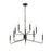 Millennium Lighting Raven 10 Light Chandelier, Matte Black