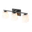 Millennium Lighting 3 Light Vanity, Matte Black/Etched White