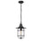 Millennium Lighting 1Lt Outdoor Hanging Lantern, Black - 2932-PBK