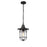 Millennium Lighting 1Lt Outdoor Hanging Lantern, Black