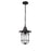 Millennium Lighting 1Lt Outdoor Hanging Lantern, Black