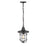 Millennium Lighting 1Lt Outdoor Hanging Lantern, Black