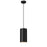 Millennium Lighting Searcy 1Lt Outdoor Hanging Pendant, Black