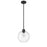 Millennium Lighting Basin 1Lt Outdoor Hanging Pendant, Black - 2991-PBK