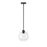 Millennium Lighting Basin 1Lt Outdoor Hanging Pendant, Black