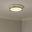 Millennium Lighting Soltra Light Flush Mount, Vintage Brass