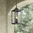 Millennium Lighting Halston 3Lt Outdoor Pendant, Coated Black