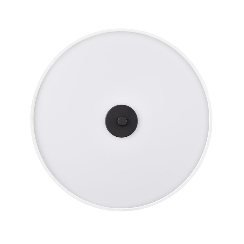 Millennium Lighting Guyten 2Lt 13" Flushmount, Black/White