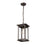 Millennium Lighting Bowton 1Lt Outdoor Hanging Lantern, Bronze - 4123-PBZ