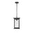 Millennium Lighting Bowton 1Lt Outdoor Hanging Lantern, Black/Clear - 4125-PBK