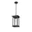 Millennium Lighting Bowton 1Lt Outdoor Hanging Lantern, Black/Clear