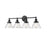 Millennium Lighting Eyden 4Lt Vanity, Black