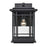 Millennium Armington 1 Light Outdoor Hanging Lantern, Black/Clear