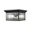 Millennium Armington 1 Light Outdoor Flush Mount, Black/Clear Seeded