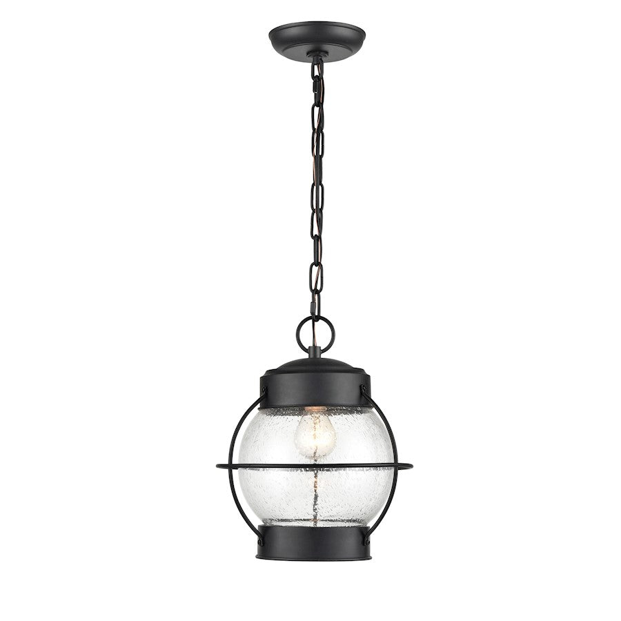Millennium Aremelo 1 Light Outdoor Hanging Lantern, Black/Seeded
